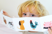 Leporelo Multipack