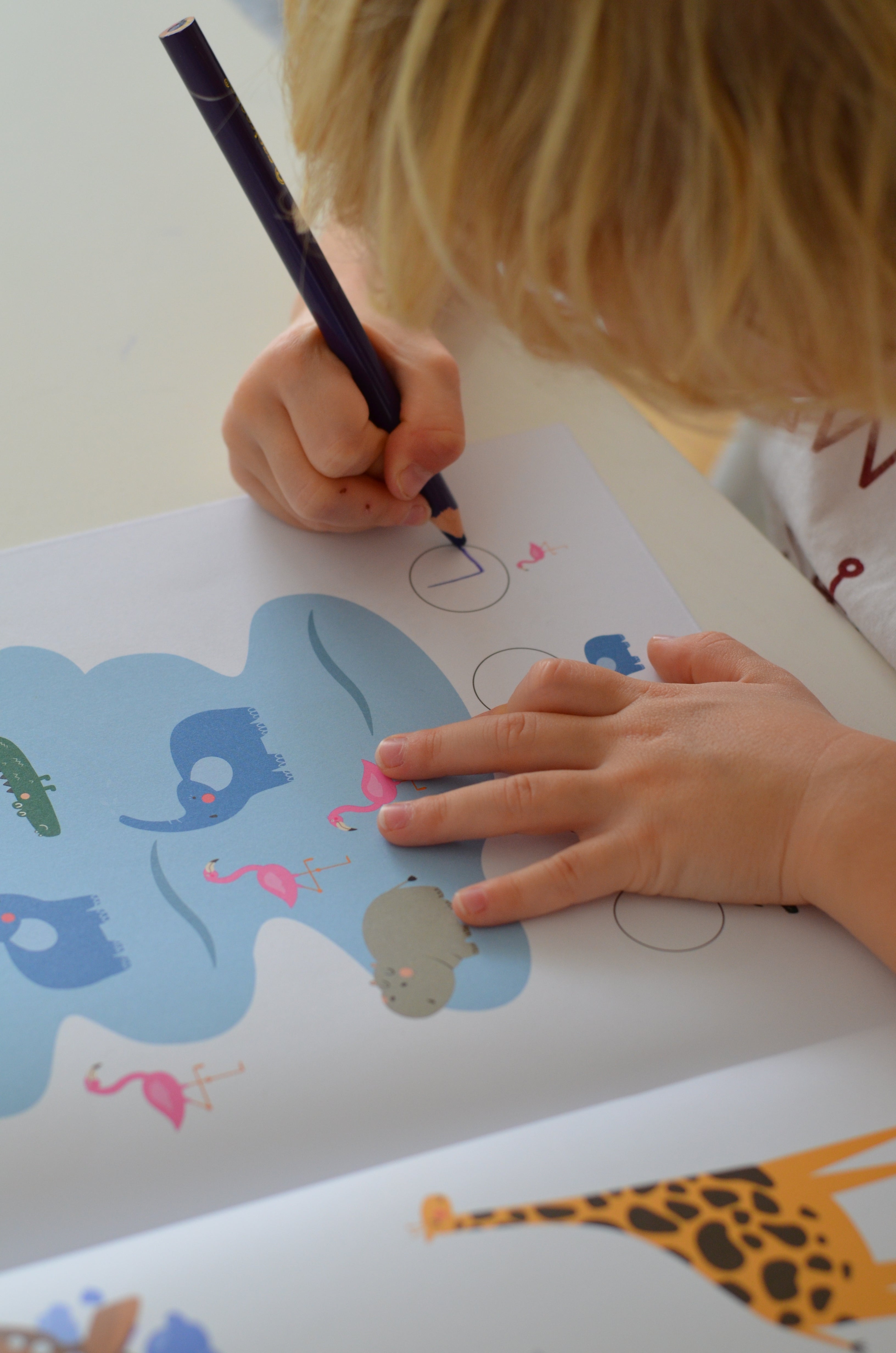 Můj první sešit Safari